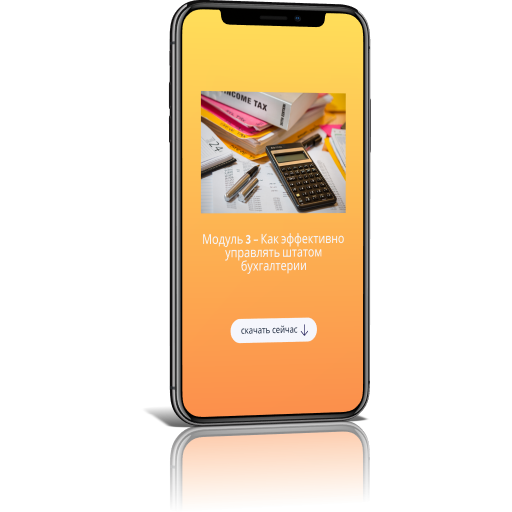 Главный бухгалтер 3.0 Главный бухгалтер 3.0