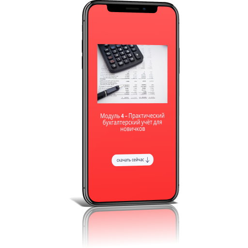 Главный бухгалтер 3.0 Главный бухгалтер 3.0